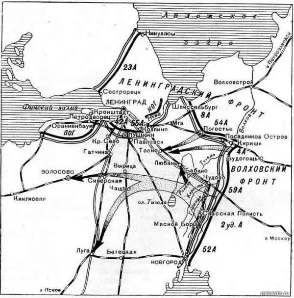 Схема боевых действий под Ленинградом, январь 1944 года