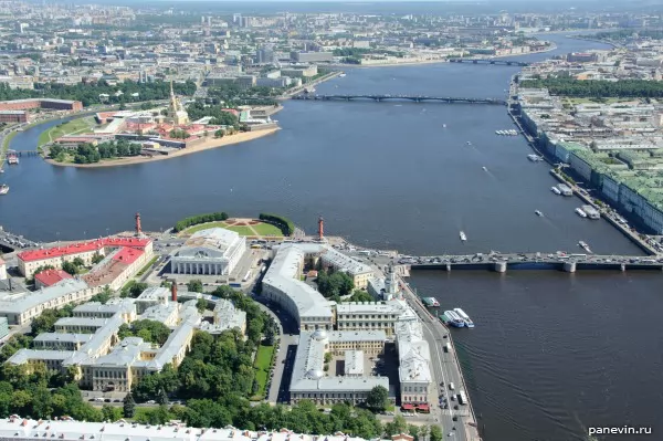 Water area of Neva