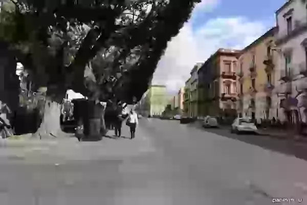 Small street of Catania