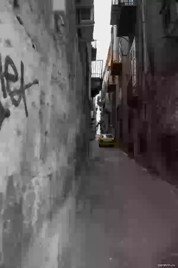 Small street of Palermo