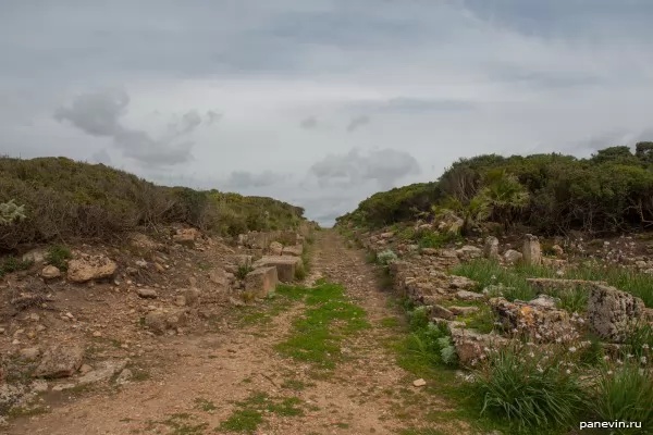Дорога к Храму С и Акрополю со стороны моря