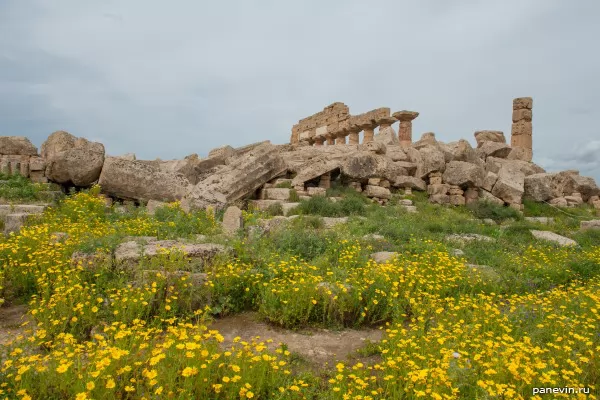 Нагромождение колонн, остатки Храма С (на заднем плане его колоннада)