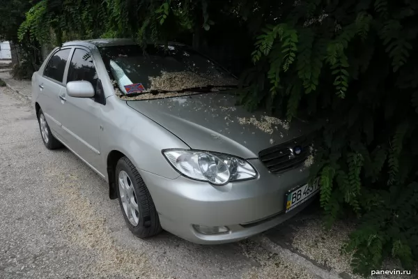 Car with a flag of Novorossii