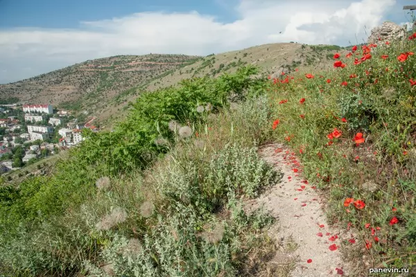 Mountain Kastron slope