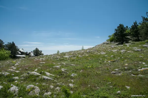 Stones on a slope