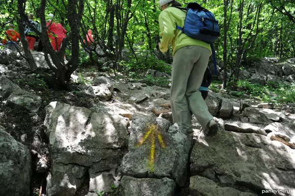 Stones with arrows