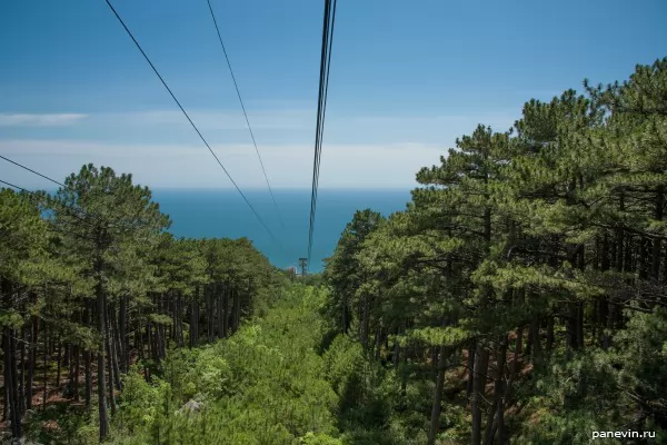 Descent on a rope-way