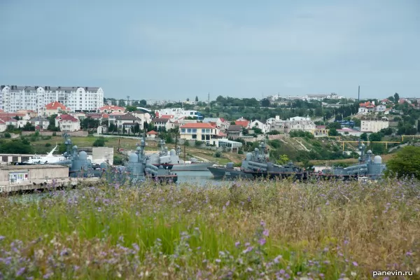  Torpedo boats in a bay