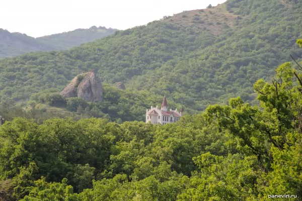 Hotel in forest