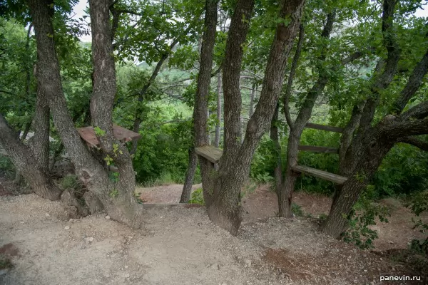 Benches between trees