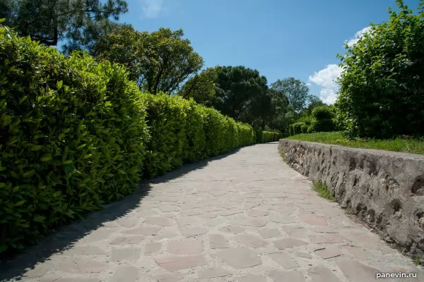 Avenue in park of the Vorontsovsky palace