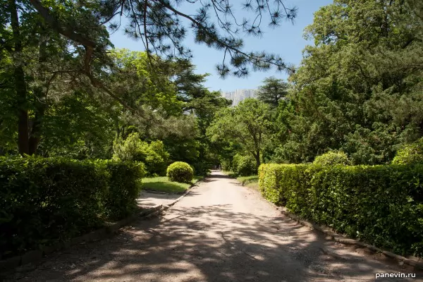 Avenue in park of the Vorontsovsky palace