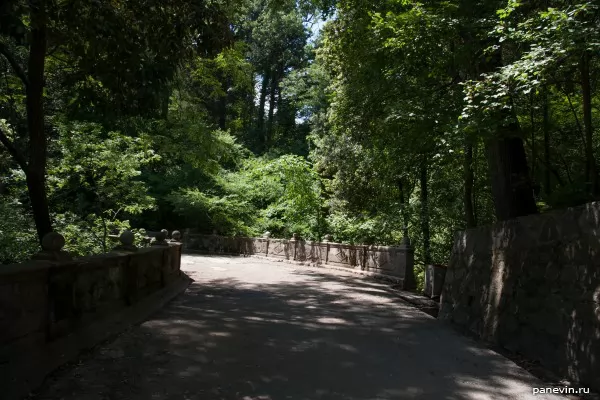 Avenue in park of the Vorontsovsky palace