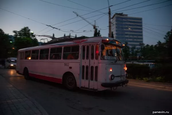  Trolley bus