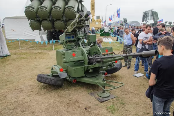 Coupled antiaircraft gun