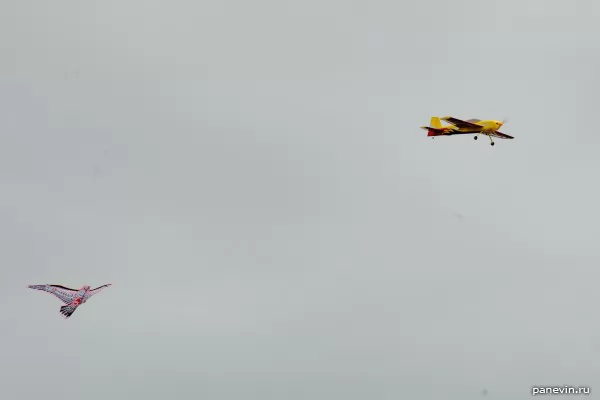 Radio-controlled model and a kite