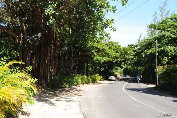 Standard Mauritius road