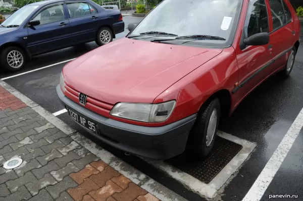 Peugeot with self-made number