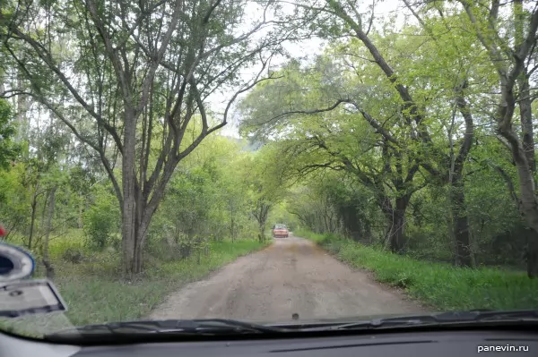 Country road along coast