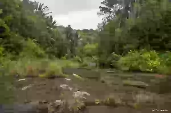 Above the cascade of falls