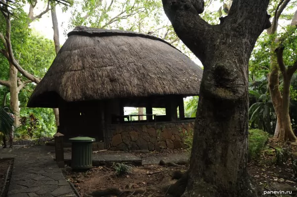 Small house with a straw roof