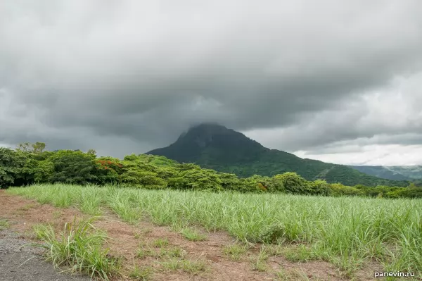 View on mountain