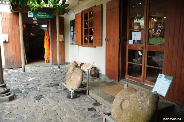 Entrance in a little shop