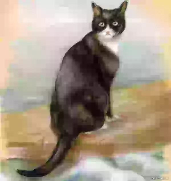 Пастельный рисунок героического кота, выполненный художницей Джорджиной Шоу-Бейкер, хранится в Национальном морском музее в Гринвиче