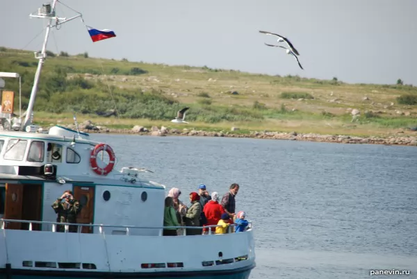 Ship and seagulls