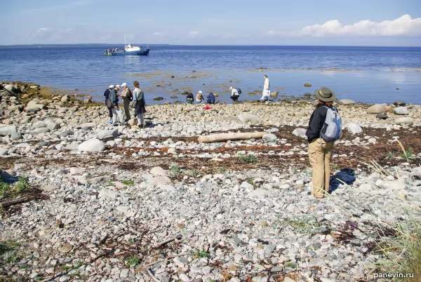 Coast of Zajatsky island