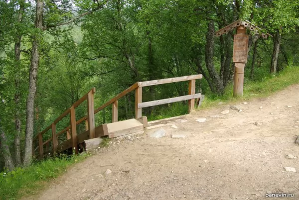 Wooden ladder