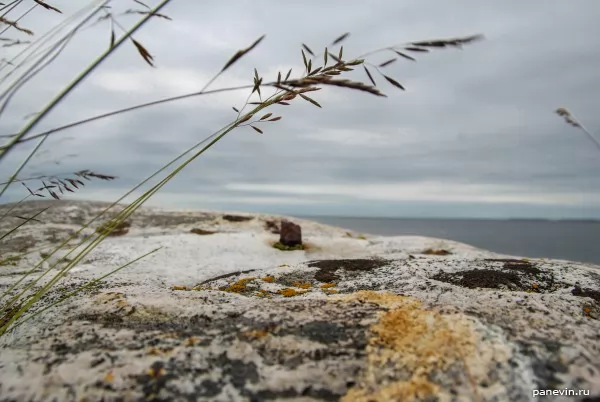 Nail in a stone