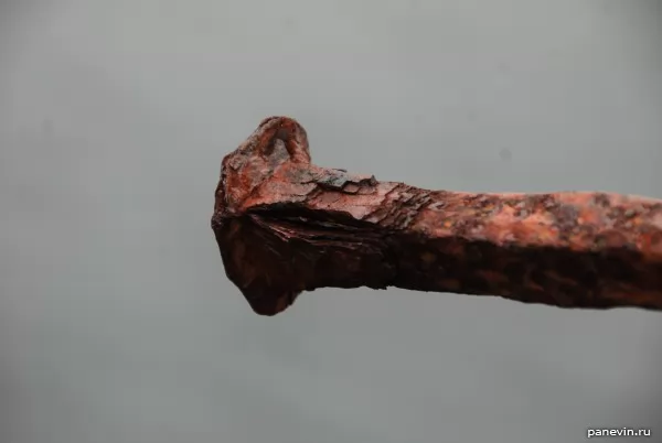 Rusty ancient shod nail