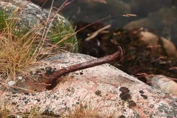 Nail in a stone