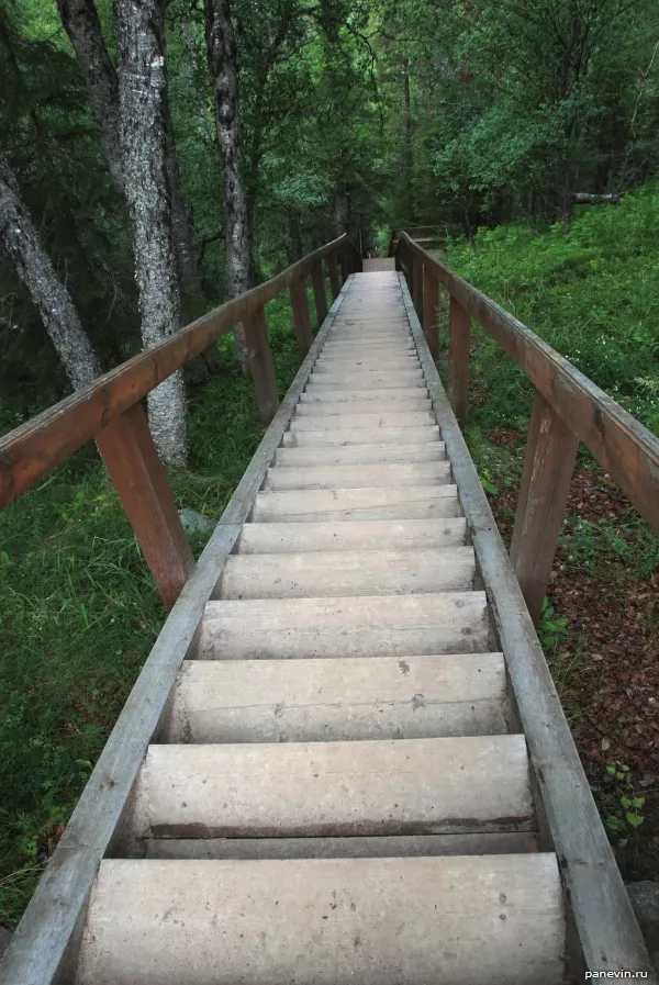 Wooden ladder