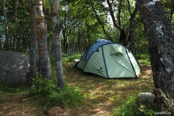  Tent