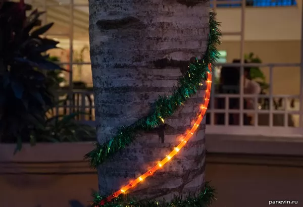 Palm tree with a garland