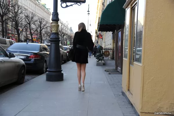 Girl in a short fur coat