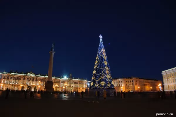 Fur-tree on the Palace Square