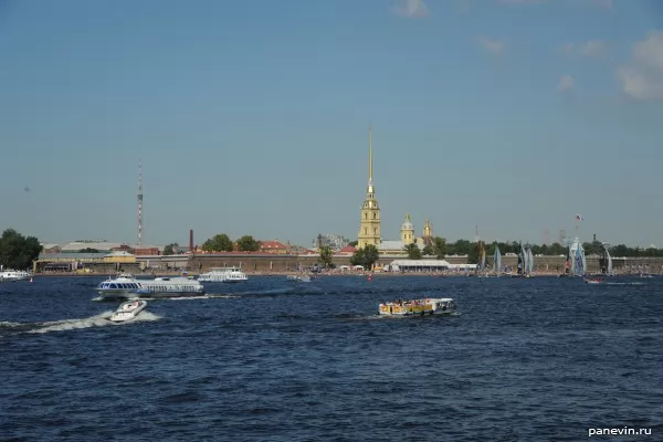 Water area of Neva