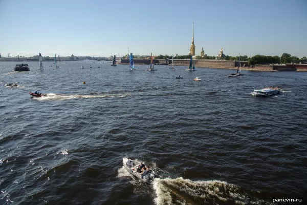 Water area of Neva