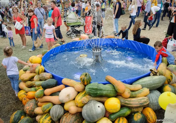 Fountain and vegetables