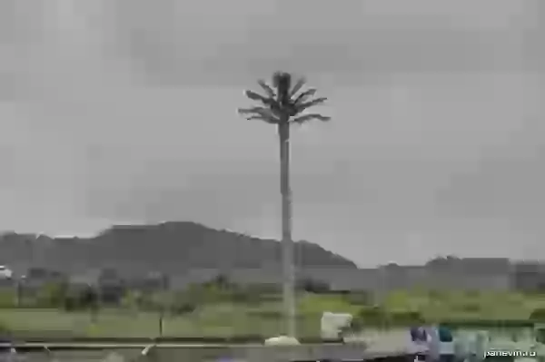 «Comminication palm tree»