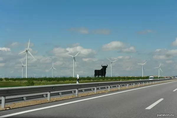 Bull and wind-driven generators