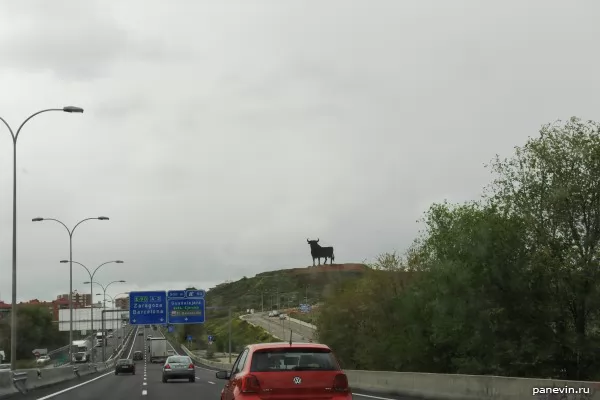 Bull at a road and signs
