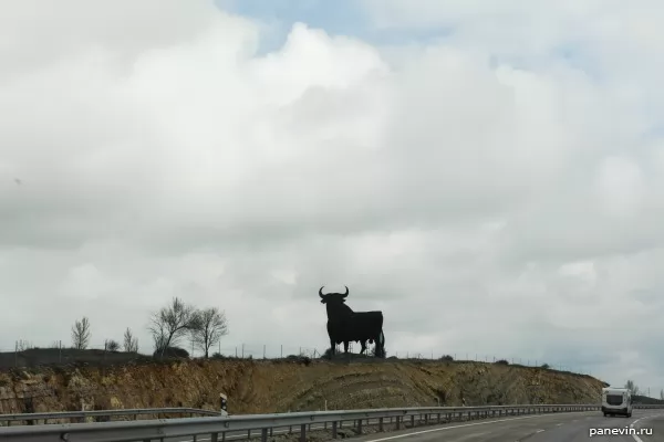 Bull at road