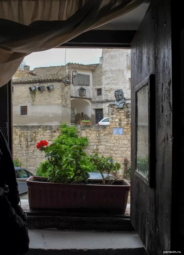 View from the window of the Goya's house