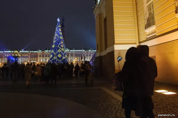 Fur-tree on Palace Square