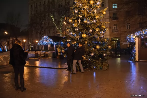 Passers-by are photographed at a fur-tree