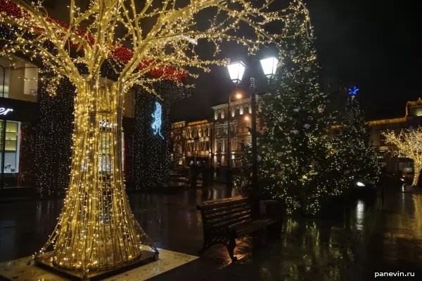 Golden tree and the decorated fur-trees